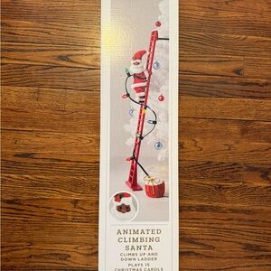 Wondershop Climbing Santa with Red Ladder